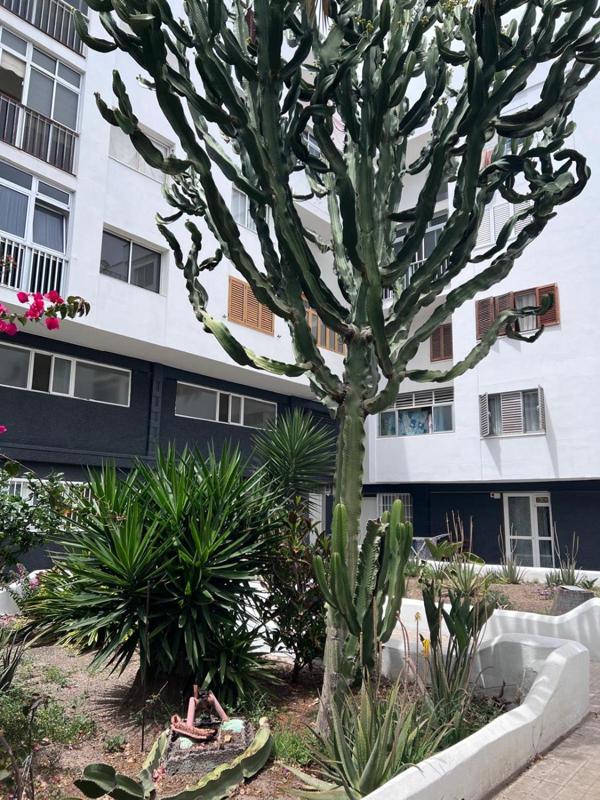 Relax Apartamento 3 Las Palmas de Gran Canaria Exterior photo